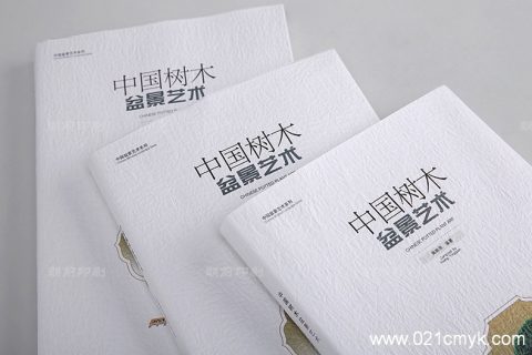 盆景藝術(shù)畫冊